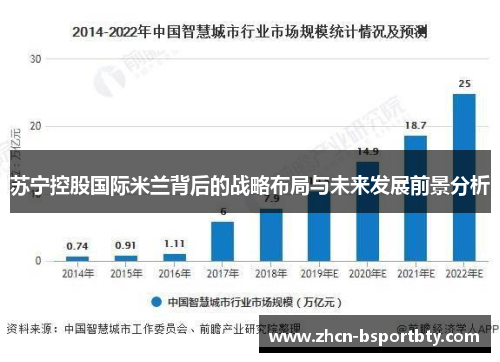 苏宁控股国际米兰背后的战略布局与未来发展前景分析