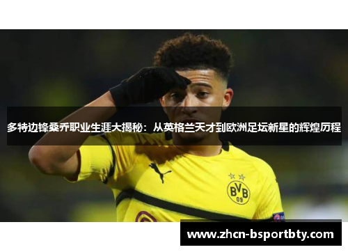 多特边锋桑乔职业生涯大揭秘：从英格兰天才到欧洲足坛新星的辉煌历程