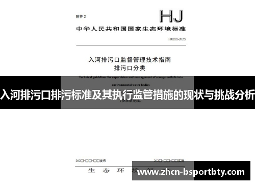 入河排污口排污标准及其执行监管措施的现状与挑战分析