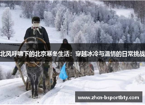 北风呼啸下的北京寒冬生活：穿越冰冷与温情的日常挑战