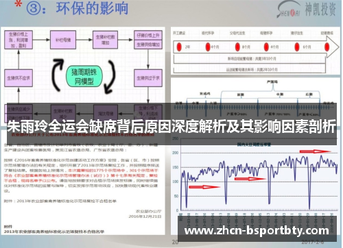 朱雨玲全运会缺席背后原因深度解析及其影响因素剖析